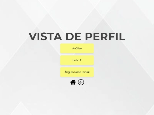 NATHAN/pages/analise/vista_perfil screenshot