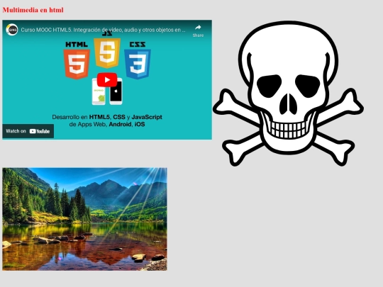 media screenshot