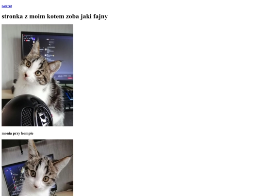 kotki screenshot