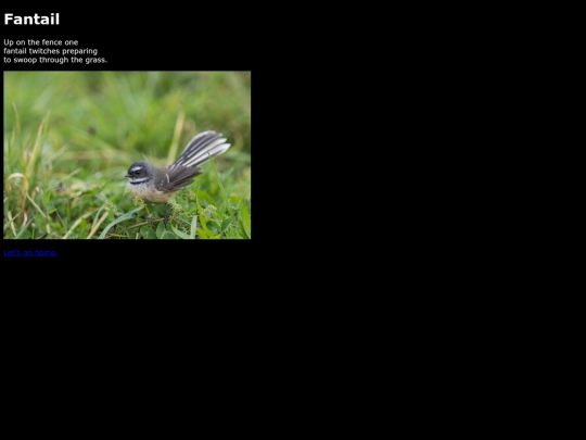 fantail_poem screenshot