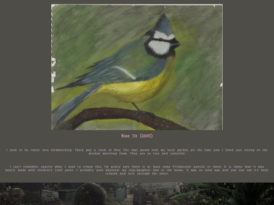 bluetit screenshot