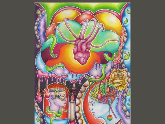brain screenshot