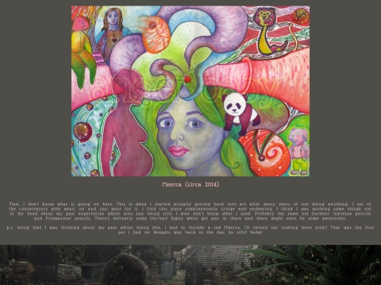 meerca screenshot