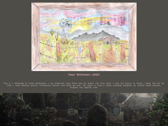 texaswildflowers screenshot