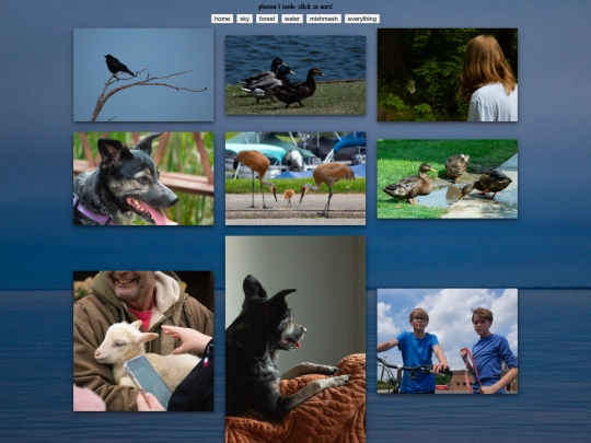 html/photosanimals screenshot