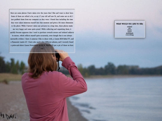 html/photoshome screenshot