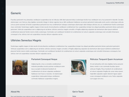 templated-snapshot/generic screenshot