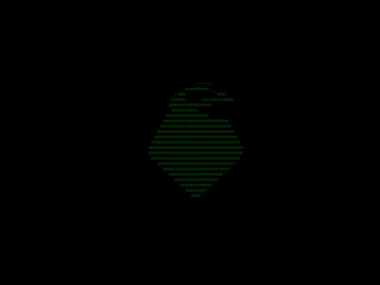 code screenshot