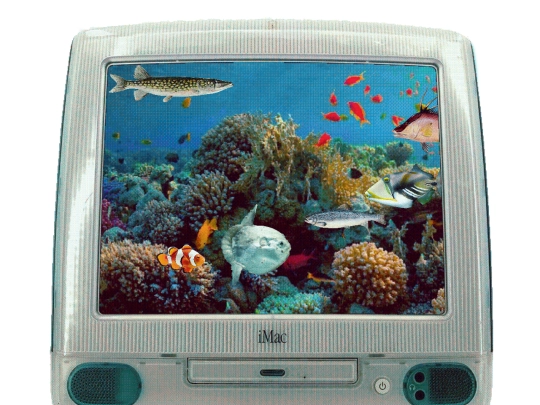 aquarium/aquarium screenshot