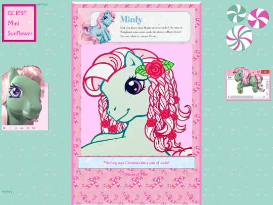 Mint screenshot