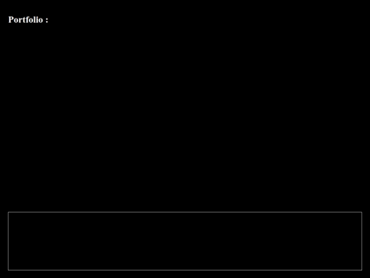 portfolio screenshot