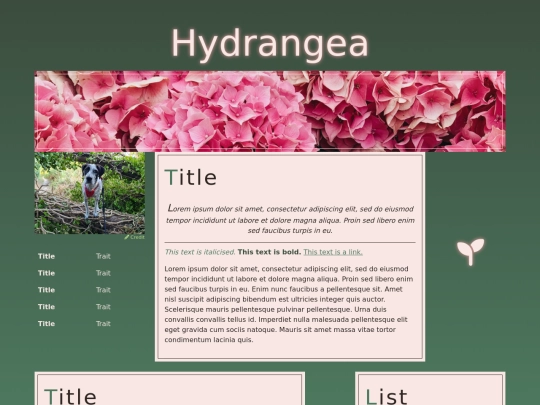 templates/hydrangea screenshot