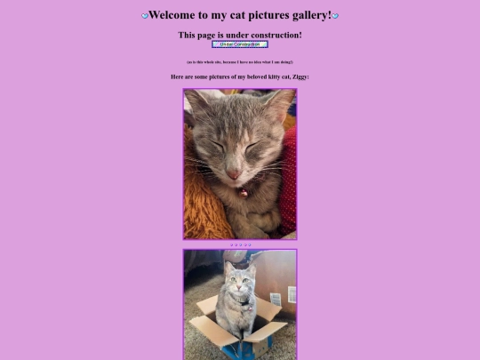 gallery screenshot