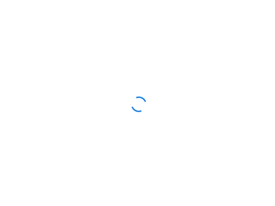 portfolio-details screenshot
