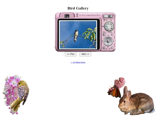 birdgallery screenshot