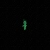 lunar-katz.neocities.org avatar