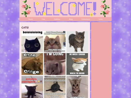 cats screenshot