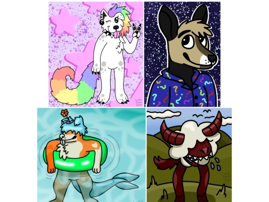 4doptportfolio screenshot