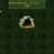 bluffingdamacy.neocities.org avatar