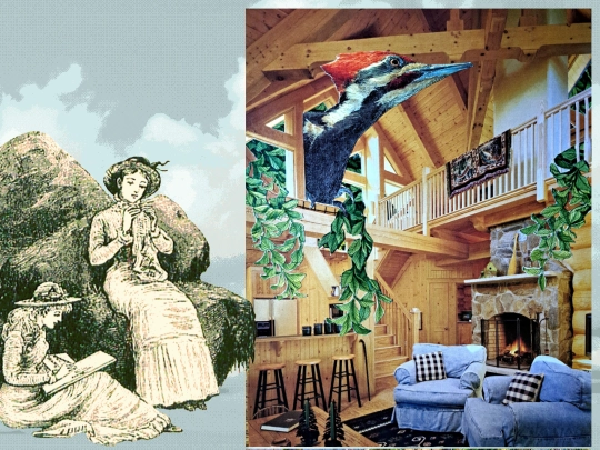 analogcollages screenshot