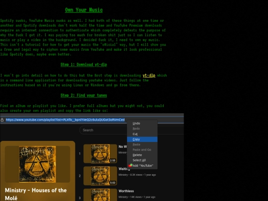 ownyourmusic screenshot