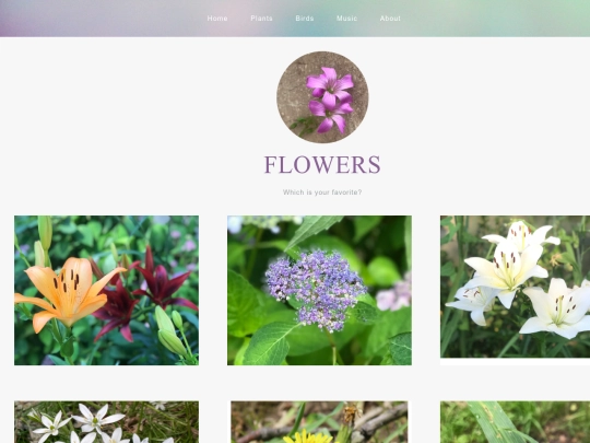 flowers screenshot