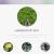 Gardens of Zen avatar