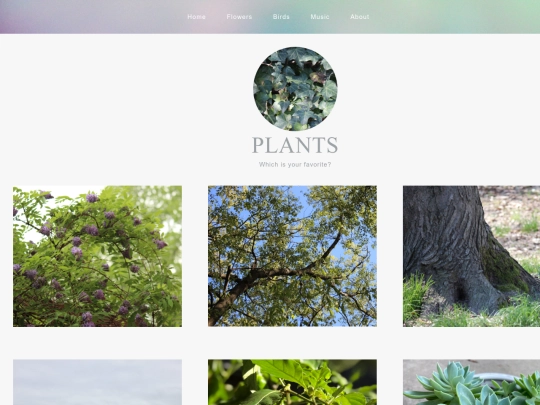 plants screenshot