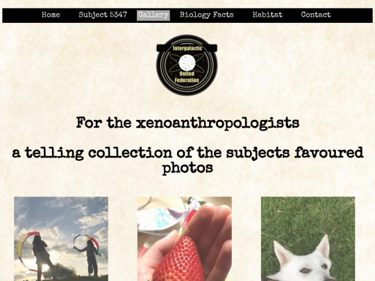 Gallery screenshot