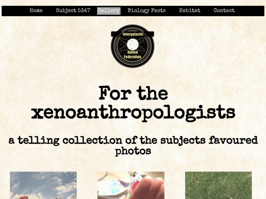 gallery screenshot