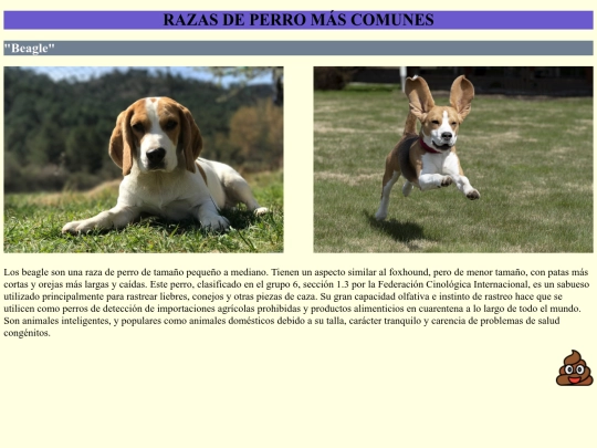 proyectopersonal/beagle screenshot