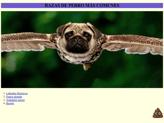proyectopersonal/iniciodos screenshot