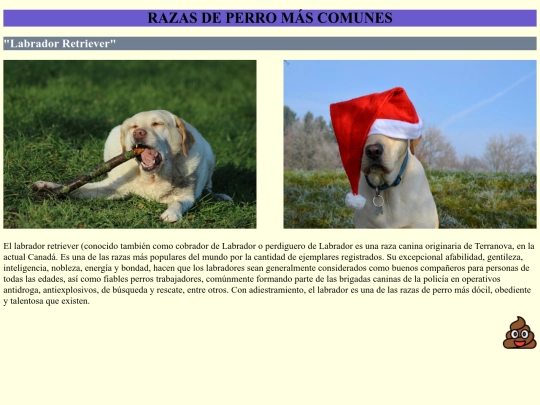 proyectopersonal/labrador screenshot