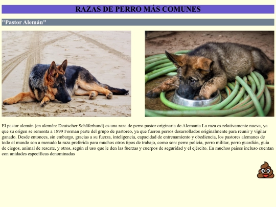proyectopersonal/paleman screenshot