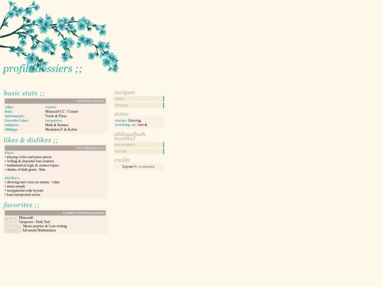 vanity screenshot