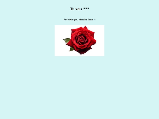 Ilikeflowers_fr screenshot