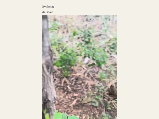 evidence screenshot