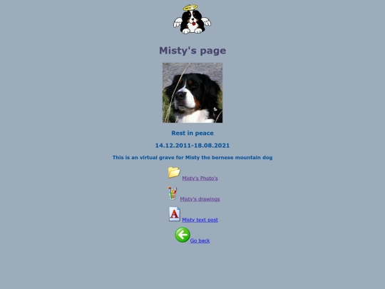 Misty screenshot