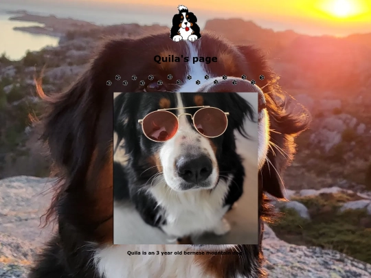 Quila screenshot