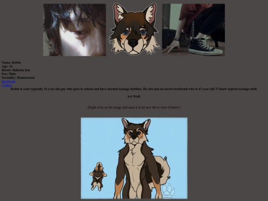 original character/robin screenshot