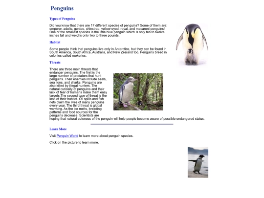 html_code/penguin_index screenshot