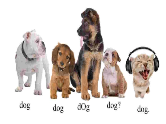 dogs screenshot