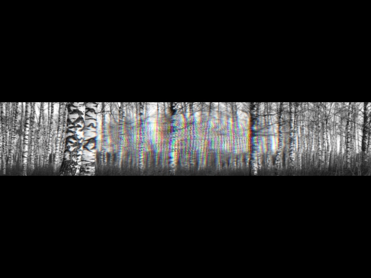 forest-shader-effect screenshot