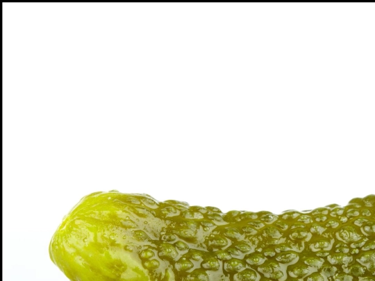 pickle screenshot