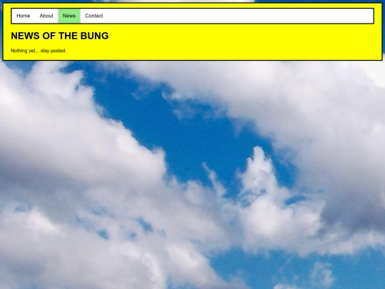news screenshot