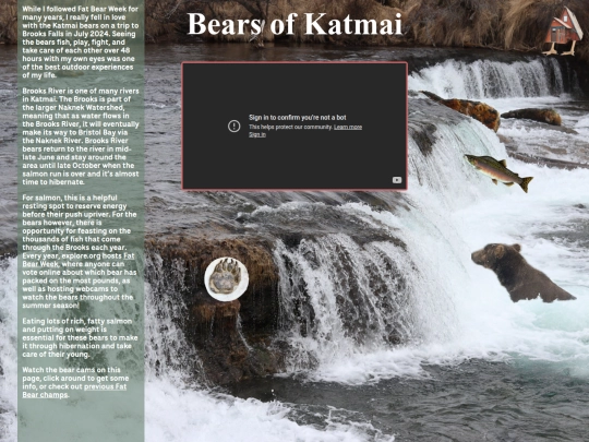 bears screenshot