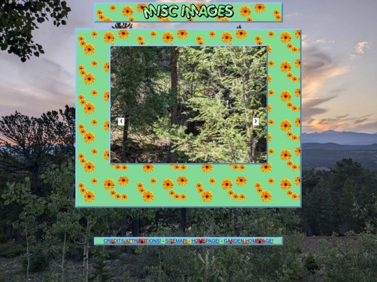 thegarden/miscimages screenshot
