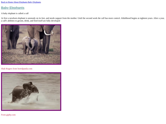 babyelephants screenshot