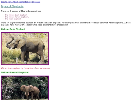 elephants screenshot