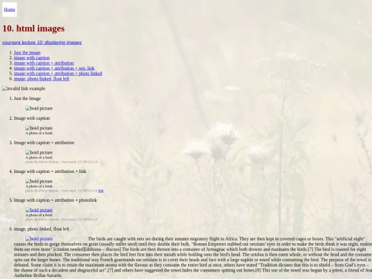 10_html_images screenshot